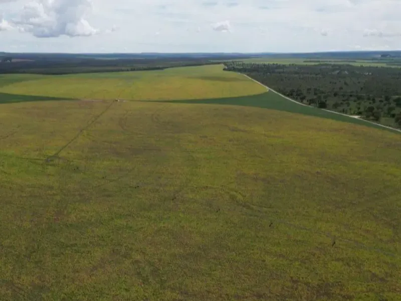 Fazenda em Formosa/Goiás — Ref 5IUCXC — Imagem 13