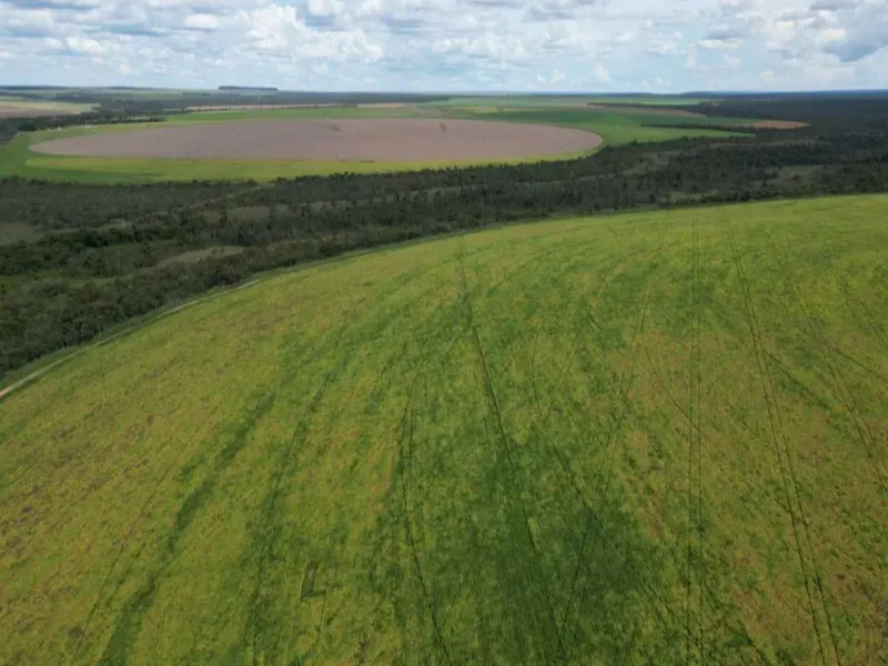 Fazenda em Formosa/Goiás — Ref 5IUCXC — Imagem 15