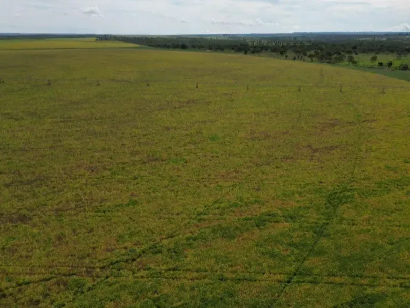 Fazenda em Formosa/Goiás — Ref 5IUCXC — Imagem 16