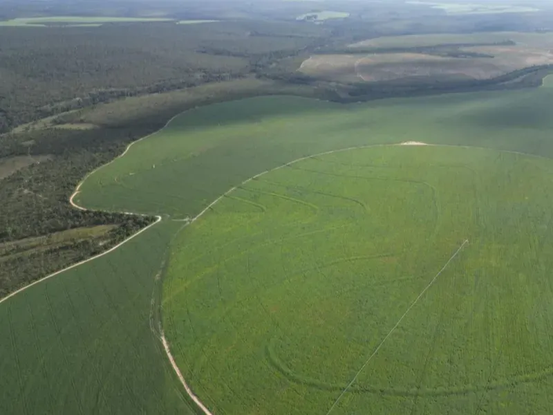 Fazenda em Formosa/Goiás — Ref 5IUCXC — Imagem 17