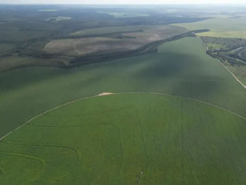 Fazenda em Formosa/Goiás — Ref 5IUCXC — Imagem 18