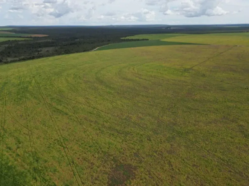Fazenda em Formosa/Goiás — Ref 5IUCXC — Imagem 19