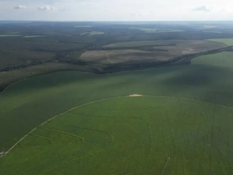 Fazenda em Formosa/Goiás — Ref 5IUCXC — Imagem 21