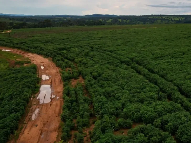 Fazenda em Novo São Joaquim/Mato Grosso — Ref XG83ED — Imagem 2