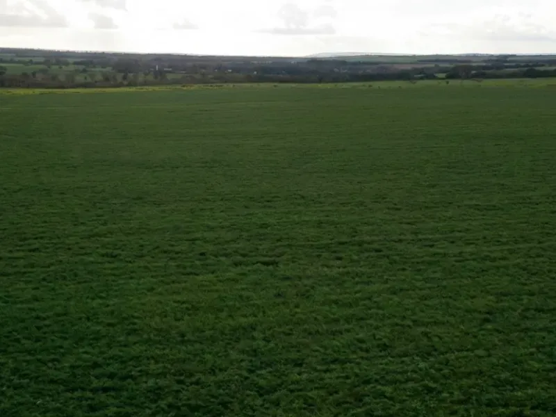 Fazenda em Novo São Joaquim/Mato Grosso — Ref XG83ED — Imagem 5