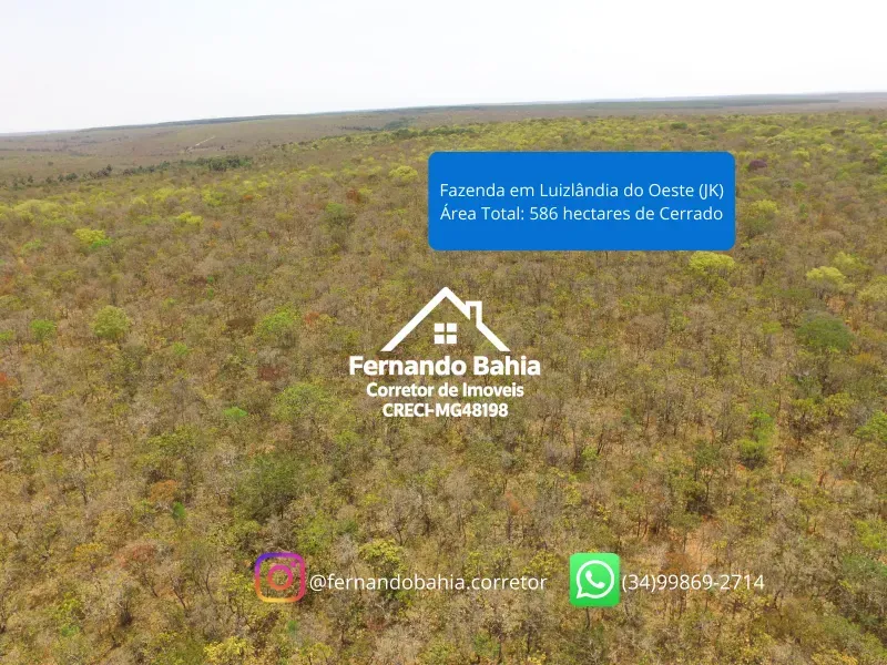 Fazenda em Luislândia/Minas Gerais — Ref U5XCT4 — Imagem 4