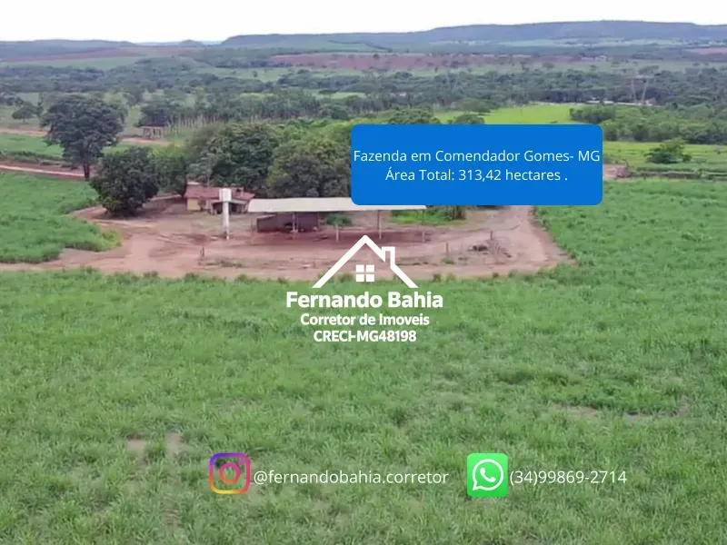 Fazenda em Comendador Gomes/Minas Gerais — Ref L6JJZJ — Imagem 2