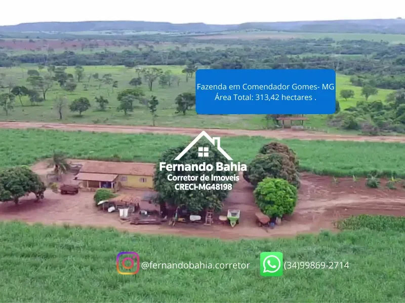 Fazenda em Comendador Gomes/Minas Gerais — Ref L6JJZJ — Imagem 3