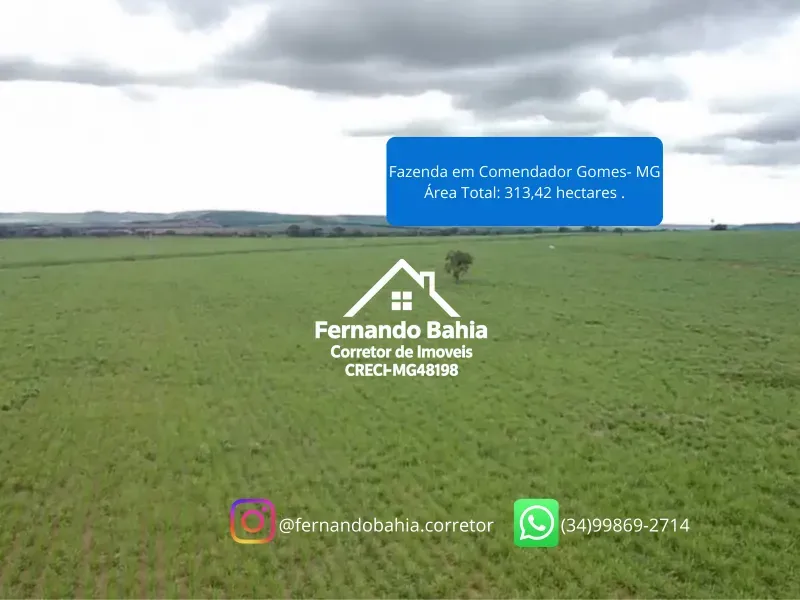 Fazenda em Comendador Gomes/Minas Gerais — Ref L6JJZJ — Imagem 4