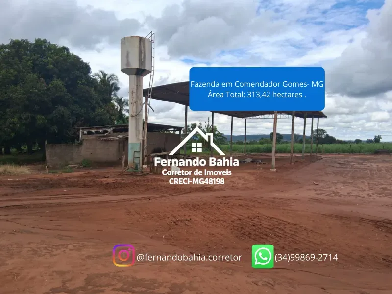Fazenda em Comendador Gomes/Minas Gerais — Ref L6JJZJ — Imagem 5