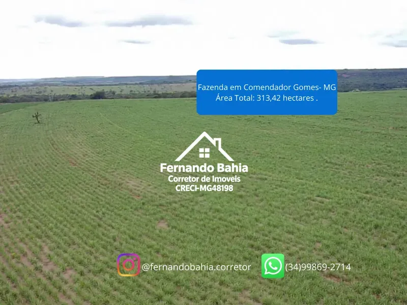 Fazenda em Comendador Gomes/Minas Gerais — Ref L6JJZJ — Imagem 6