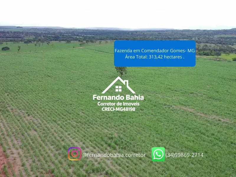 Fazenda em Comendador Gomes/Minas Gerais — Ref L6JJZJ — Imagem 7