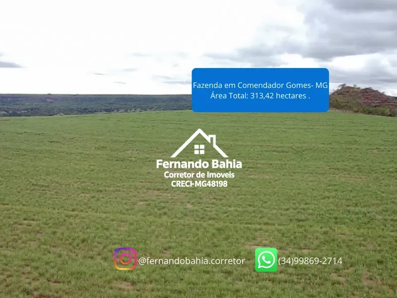 Fazenda em Comendador Gomes/Minas Gerais — Ref L6JJZJ — Imagem 8