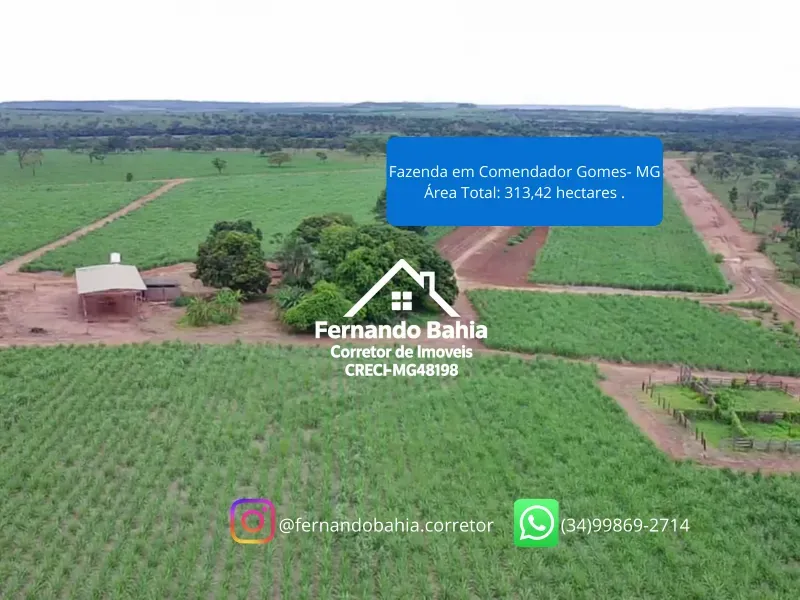 Fazenda em Comendador Gomes/Minas Gerais — Ref L6JJZJ — Imagem 9