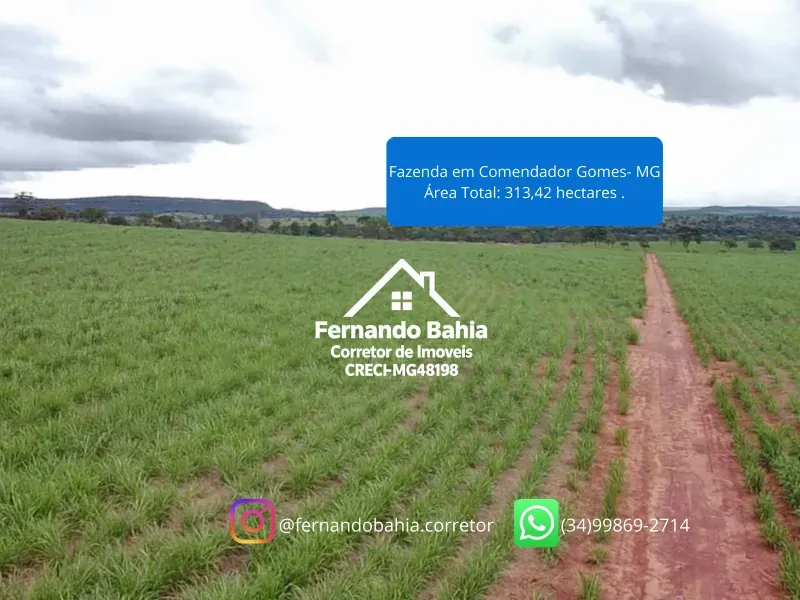 Fazenda em Comendador Gomes/Minas Gerais — Ref L6JJZJ — Imagem 10