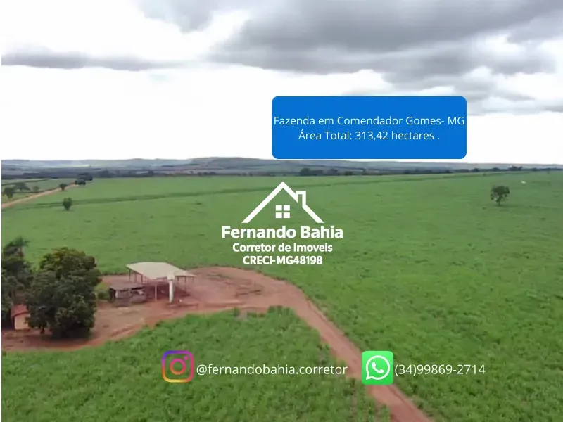 Fazenda em Comendador Gomes/Minas Gerais — Ref L6JJZJ — Imagem 11