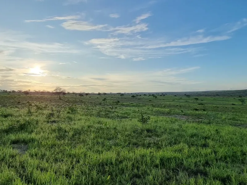 Fazenda em Paranatinga/Mato Grosso — Ref WU8KVF — Imagem 2