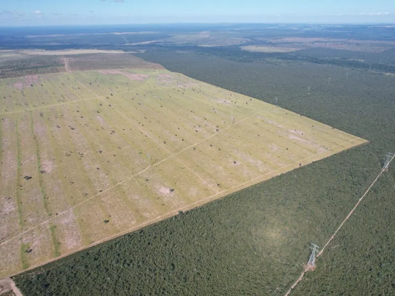 Fazenda em Paranatinga/Mato Grosso — Ref WU8KVF — Imagem 4