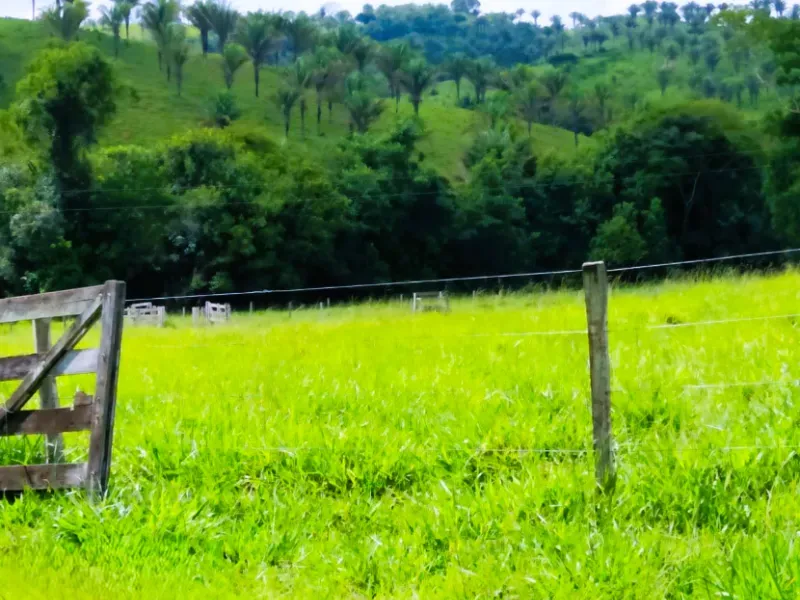 Fazenda em Anápolis/Goiás — Ref 9R3WGF — Imagem 4