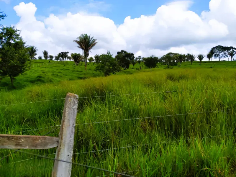 Fazenda em Anápolis/Goiás — Ref 9R3WGF — Imagem 7