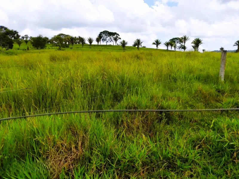 Fazenda em Anápolis/Goiás — Ref 9R3WGF — Imagem 8