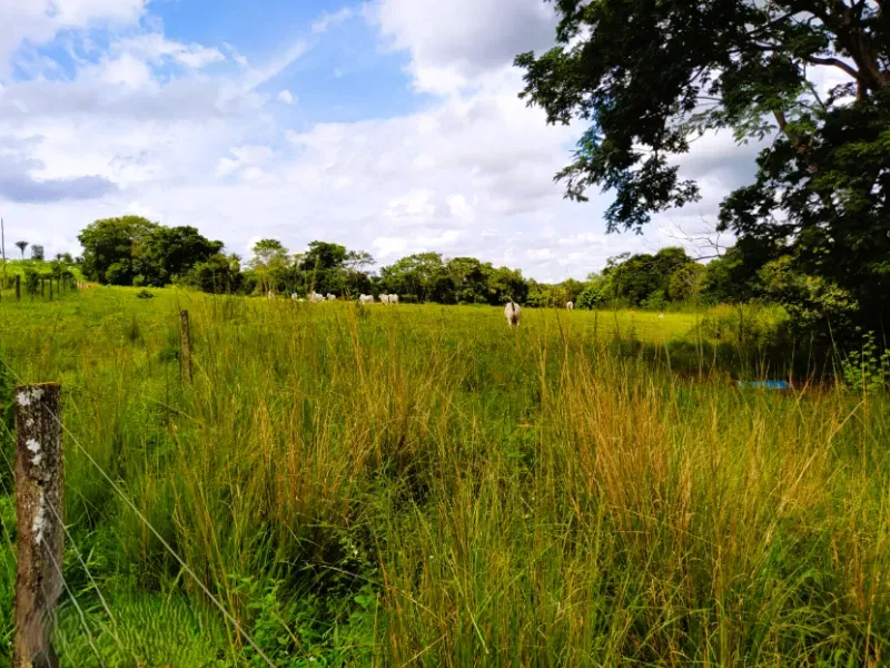 Fazenda em Anápolis/Goiás — Ref 9R3WGF — Imagem 10