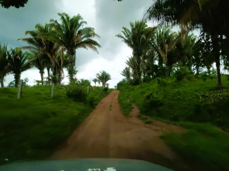 Fazenda em Anápolis/Goiás — Ref 9R3WGF — Imagem 12