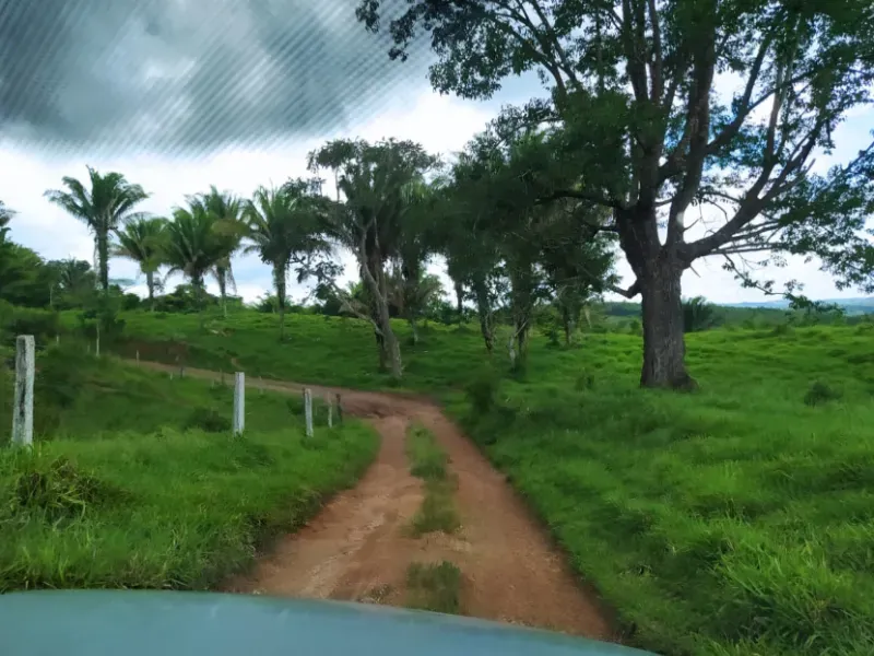 Fazenda em Anápolis/Goiás — Ref 9R3WGF — Imagem 14