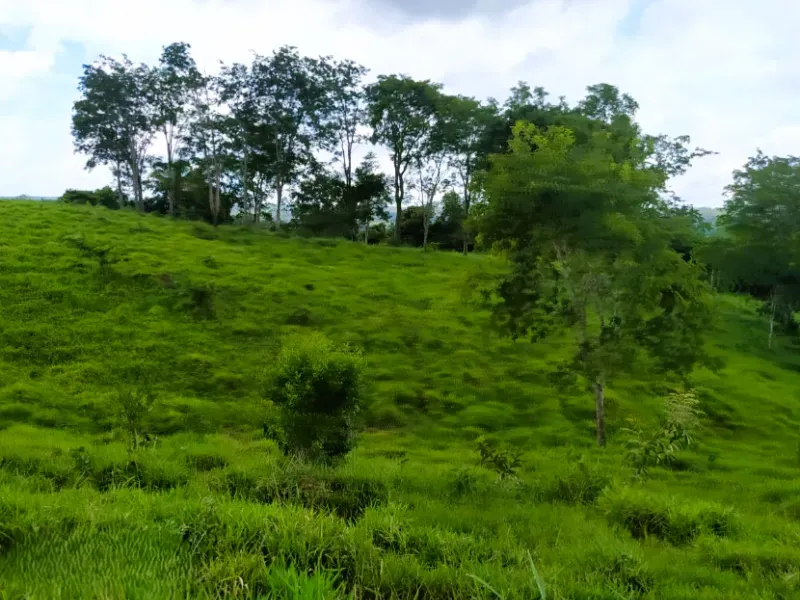 Fazenda em Anápolis/Goiás — Ref 9R3WGF — Imagem 15