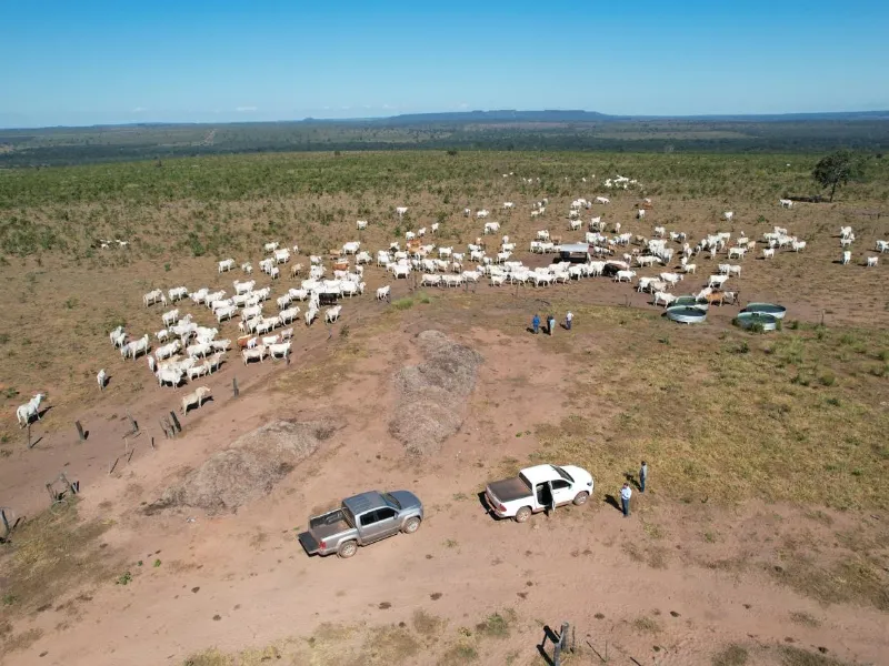 Fazenda em Paranatinga/Mato Grosso — Ref WU8KVF — Imagem 5