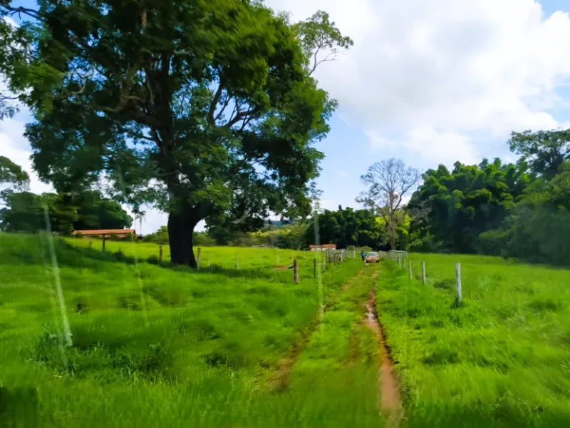 Fazenda em Anápolis/Goiás — Ref 9R3WGF — Imagem 16