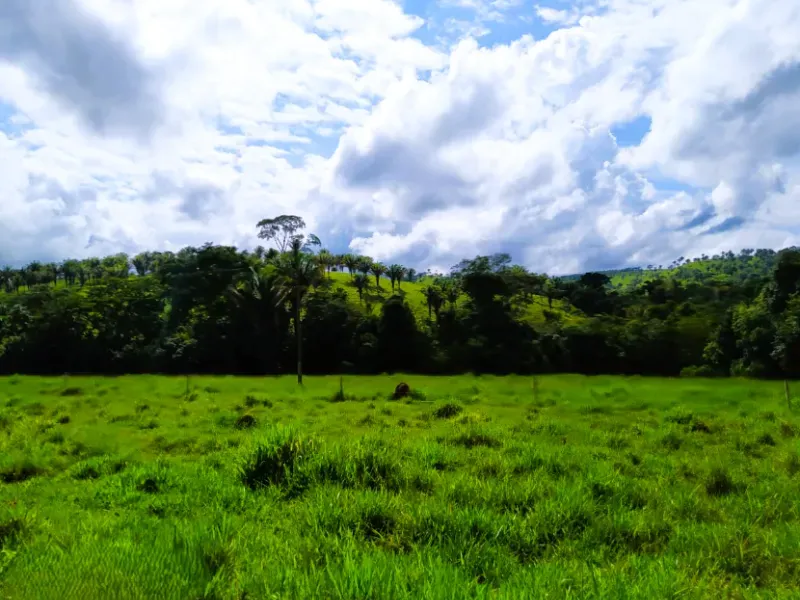 Fazenda em Anápolis/Goiás — Ref 9R3WGF — Imagem 17