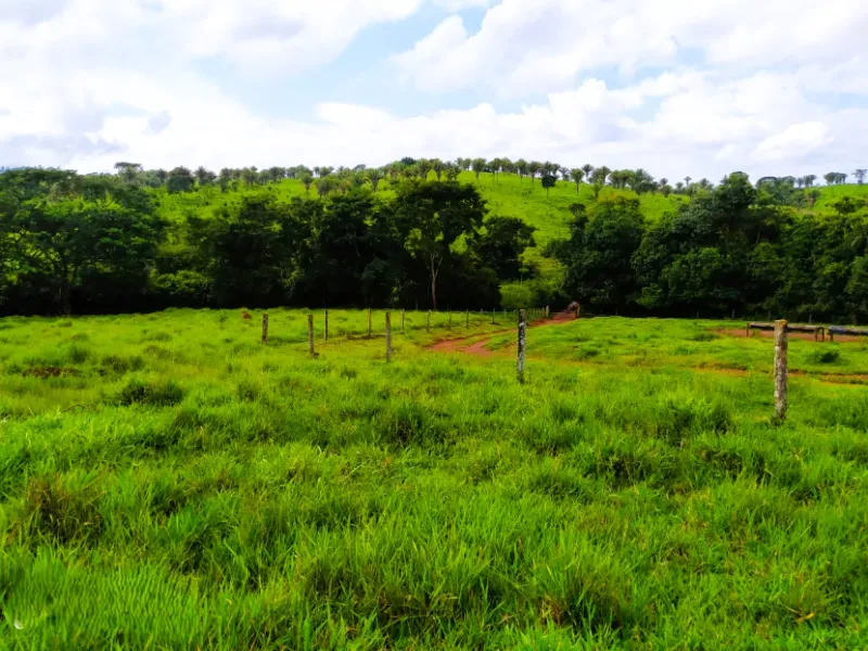 Fazenda em Anápolis/Goiás — Ref 9R3WGF — Imagem 18