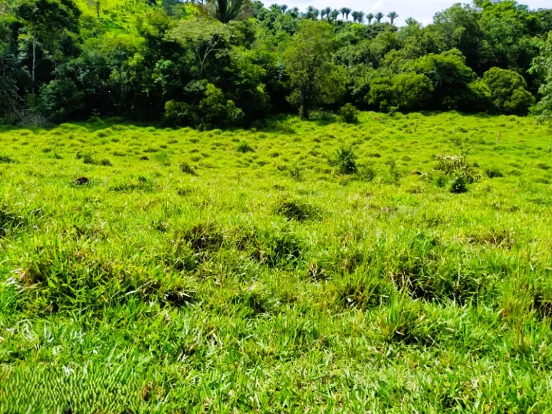 Fazenda em Anápolis/Goiás — Ref 9R3WGF — Imagem 19