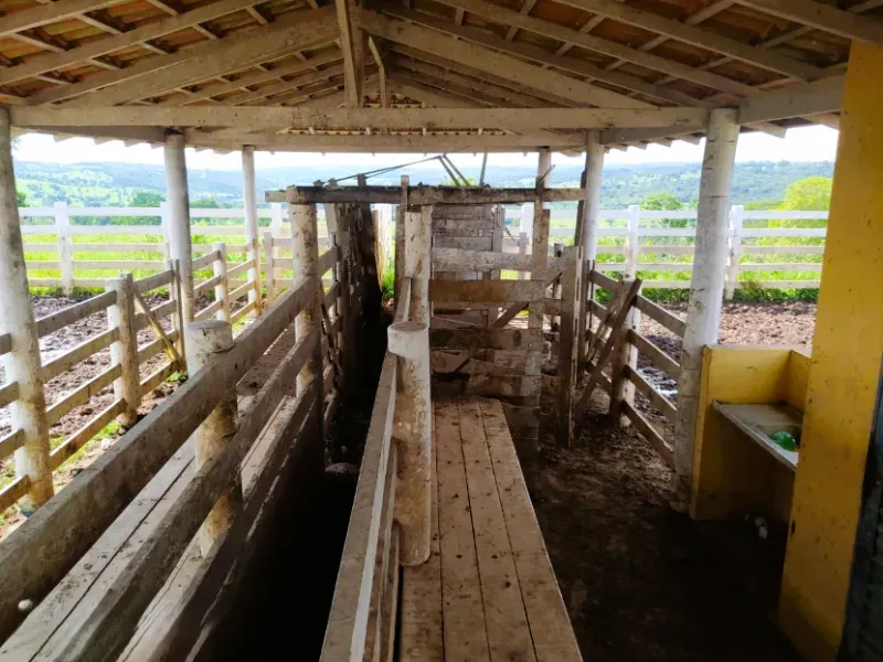 Fazenda em Anápolis/Goiás — Ref 9R3WGF — Imagem 22