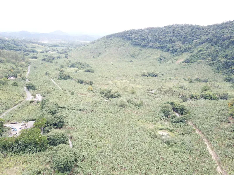 Fazenda em Miracatu/São Paulo — Ref GCMT22 — Imagem 3