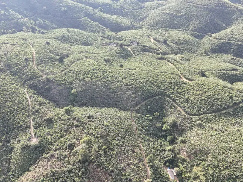 Fazenda em Miracatu/São Paulo — Ref GCMT22 — Imagem 9