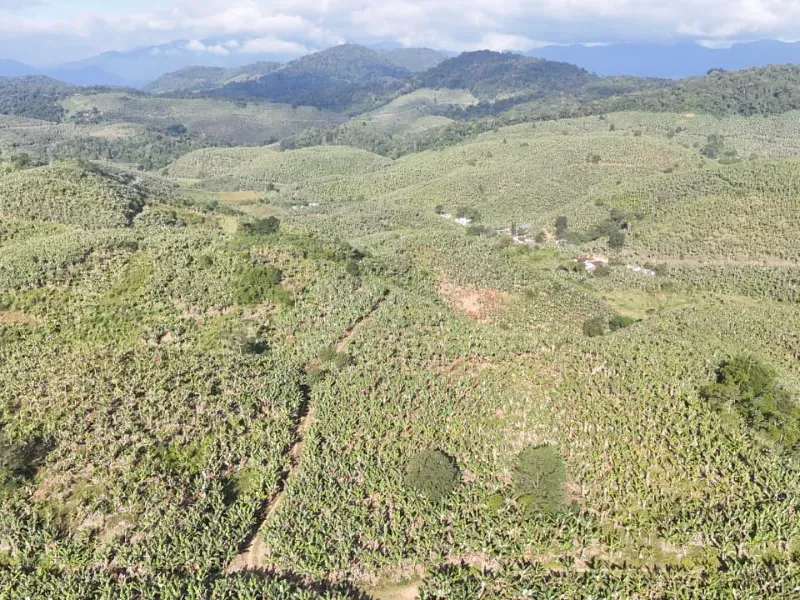 Fazenda em Miracatu/São Paulo — Ref GCMT22 — Imagem 10