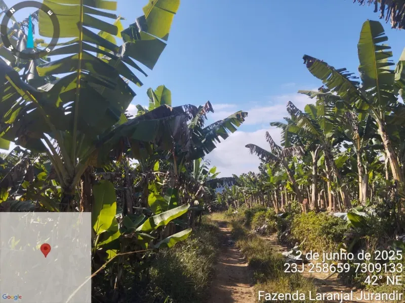 Fazenda em Miracatu/São Paulo — Ref GCMT22 — Imagem 11