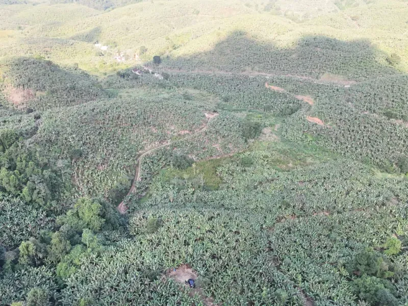 Fazenda em Miracatu/São Paulo — Ref GCMT22 — Imagem 12