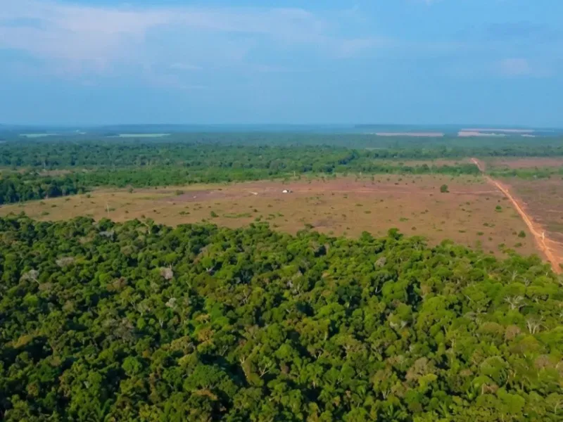 Fazenda em Nova Canaã do Norte/Mato Grosso — Ref ONWKFR — Imagem 3
