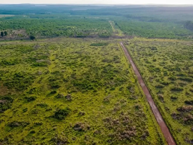 Fazenda em Nova Canaã do Norte/Mato Grosso — Ref ONWKFR — Imagem 4