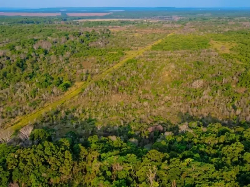 Fazenda em Nova Canaã do Norte/Mato Grosso — Ref ONWKFR — Imagem 5