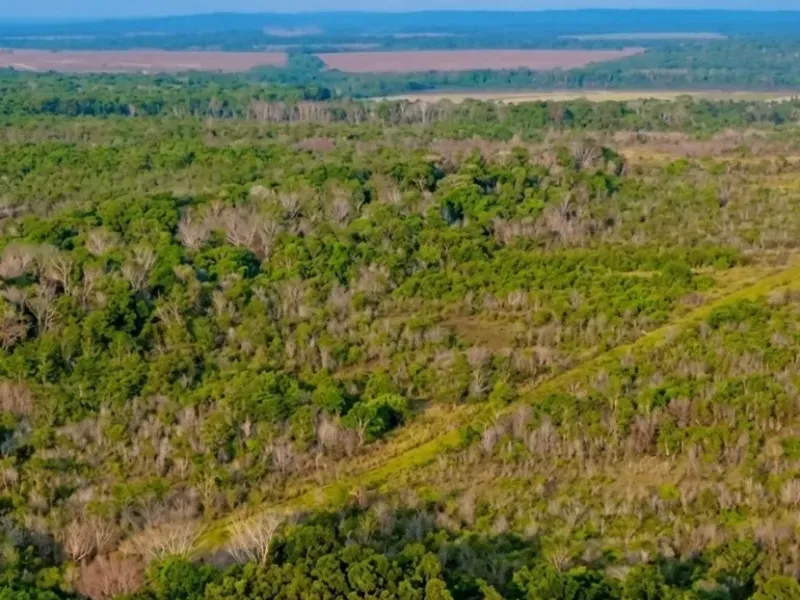 Fazenda em Nova Canaã do Norte/Mato Grosso — Ref ONWKFR — Imagem 6