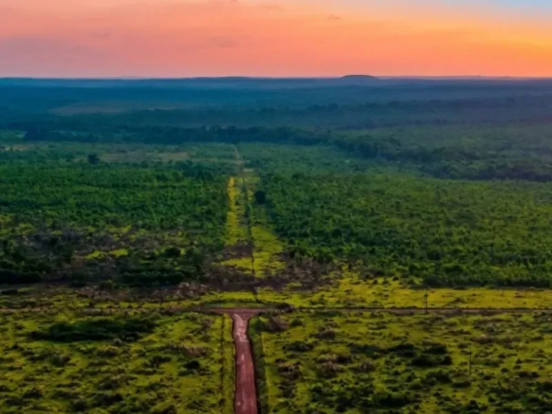 Fazenda em Nova Canaã do Norte/Mato Grosso — Ref ONWKFR — Imagem 7