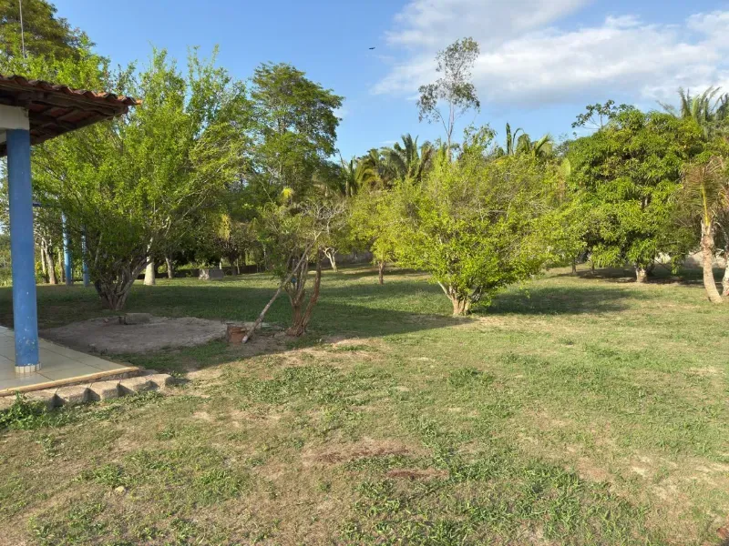 Fazenda em Santa Rita/Maranhão — Ref HPEP0N — Imagem 5