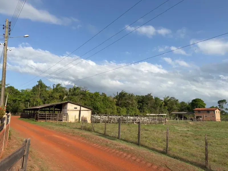 Fazenda em Santa Rita/Maranhão — Ref HPEP0N — Imagem 9