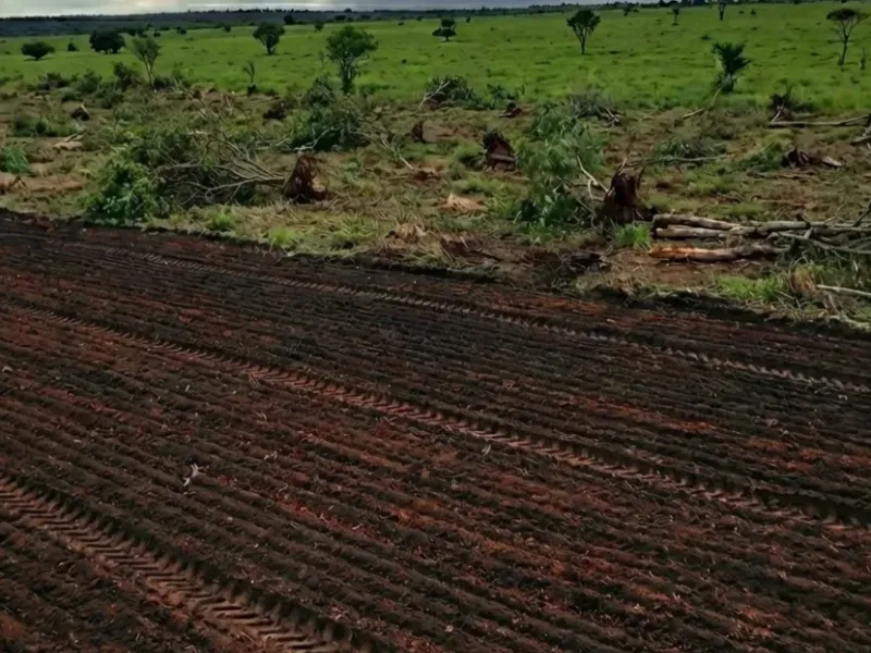 Fazenda em Gaúcha do Norte/Mato Grosso — Ref Y7CBXW — Imagem 5