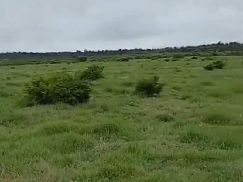 Fazenda em Gaúcha do Norte/Mato Grosso — Ref Y7CBXW — Imagem 7
