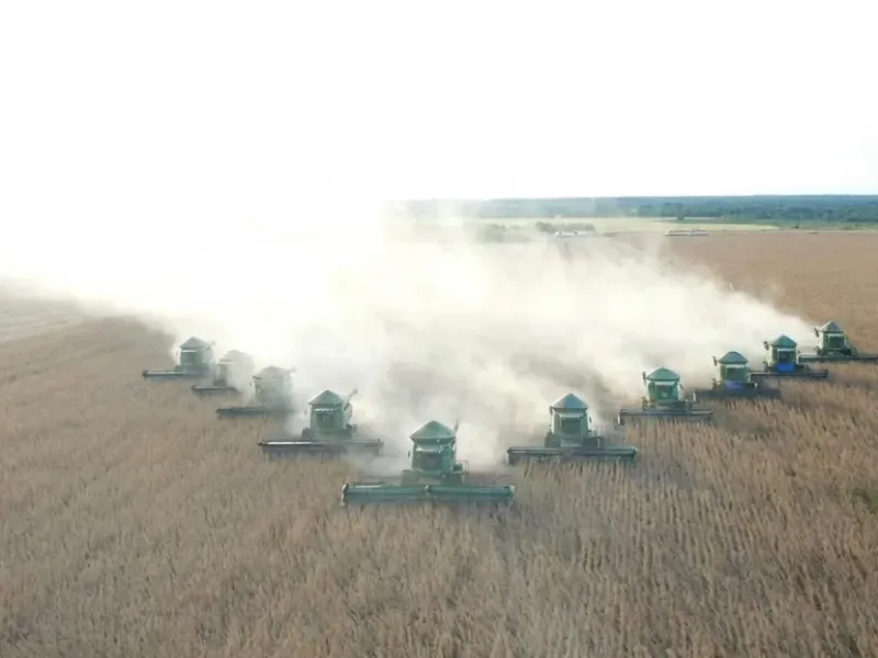 Fazenda em Afonso Cunha/Maranhão — Ref 77IXYU — Imagem 8